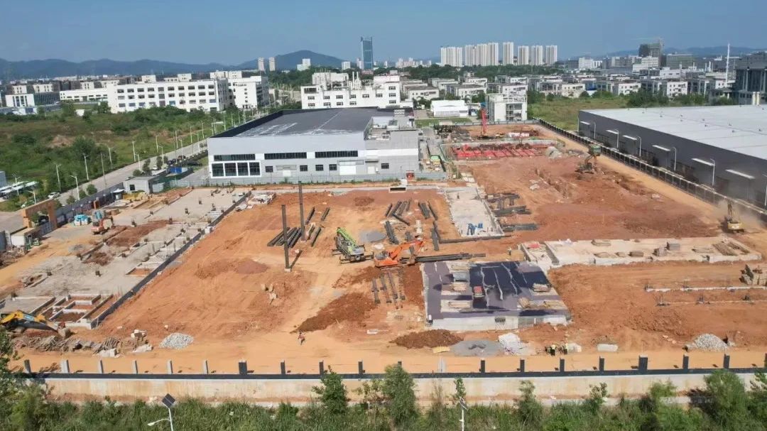 ȫ����G8.6������Ĥ���Ŀ����2026��2��Ͷ�a