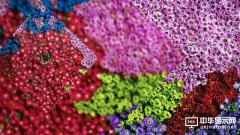 【HDR是什么意思】HDR電視技術要求